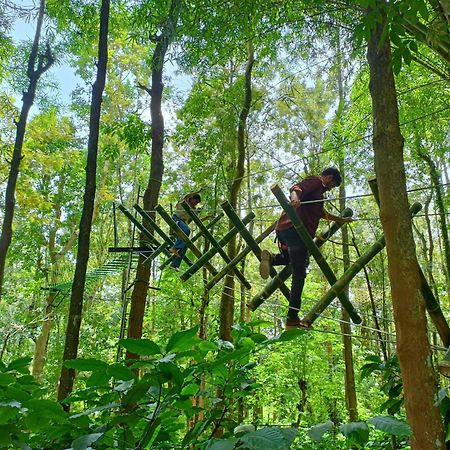 Adrak Mountain Mist Forest Resort Pulpally ภายนอก รูปภาพ