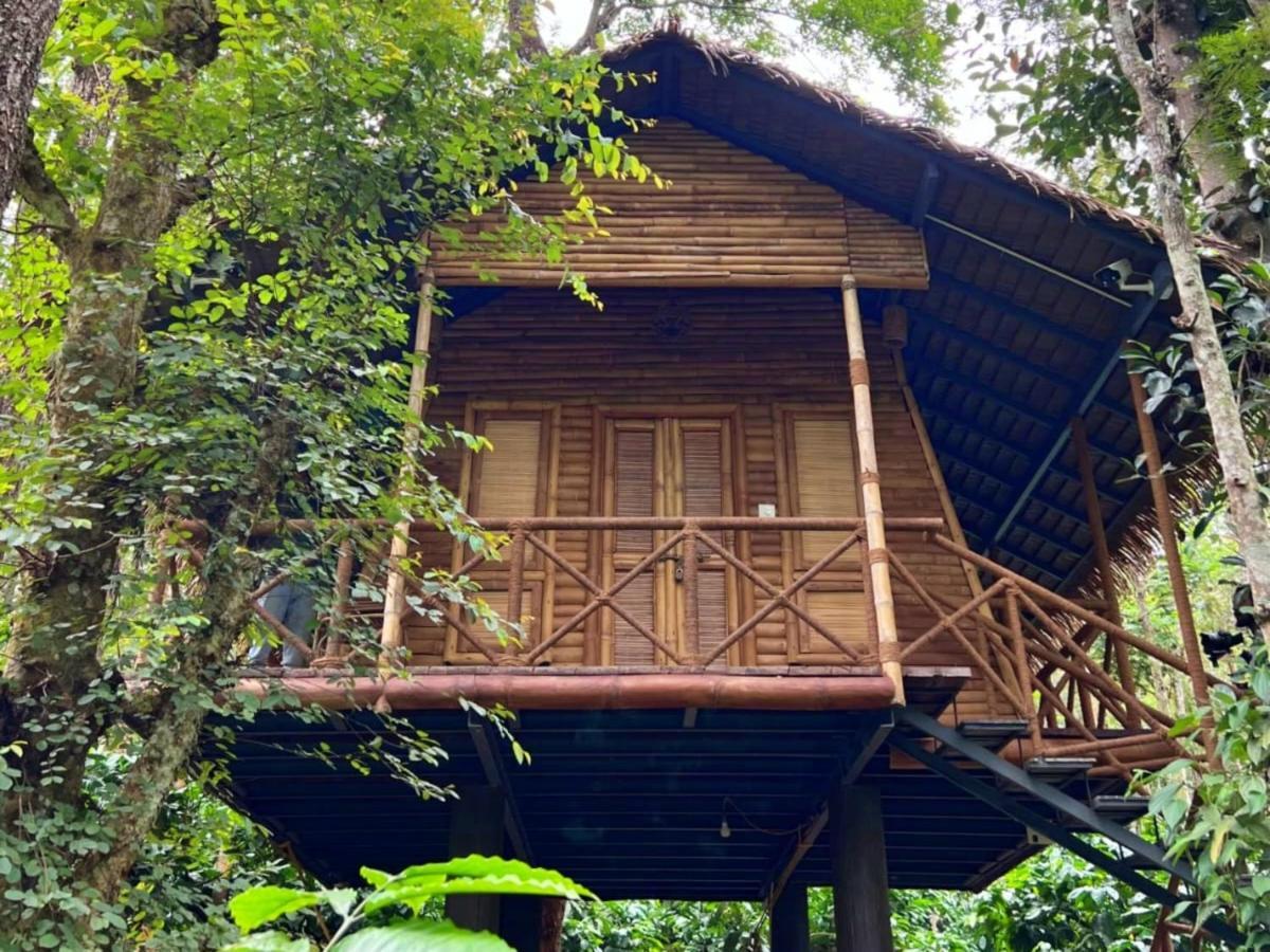 Adrak Mountain Mist Forest Resort Pulpally ภายนอก รูปภาพ