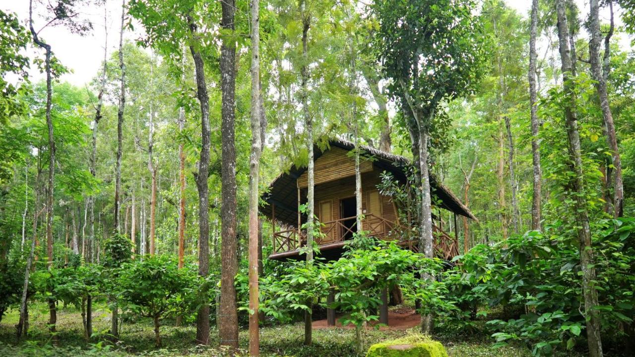 Adrak Mountain Mist Forest Resort Pulpally ภายนอก รูปภาพ