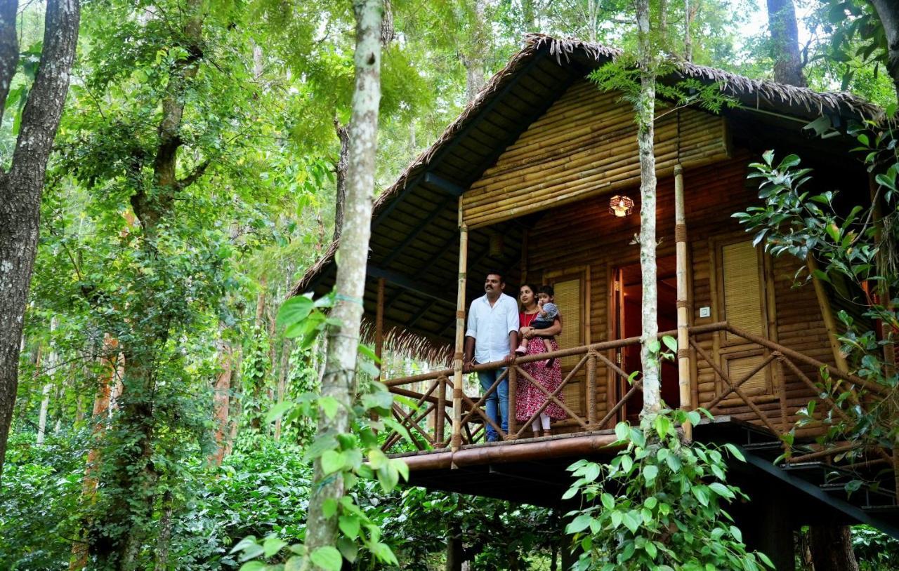 Adrak Mountain Mist Forest Resort Pulpally ภายนอก รูปภาพ