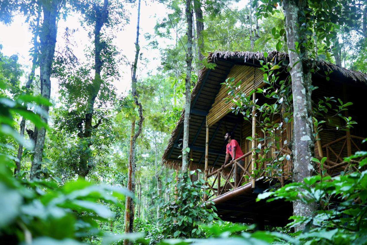 Adrak Mountain Mist Forest Resort Pulpally ภายนอก รูปภาพ