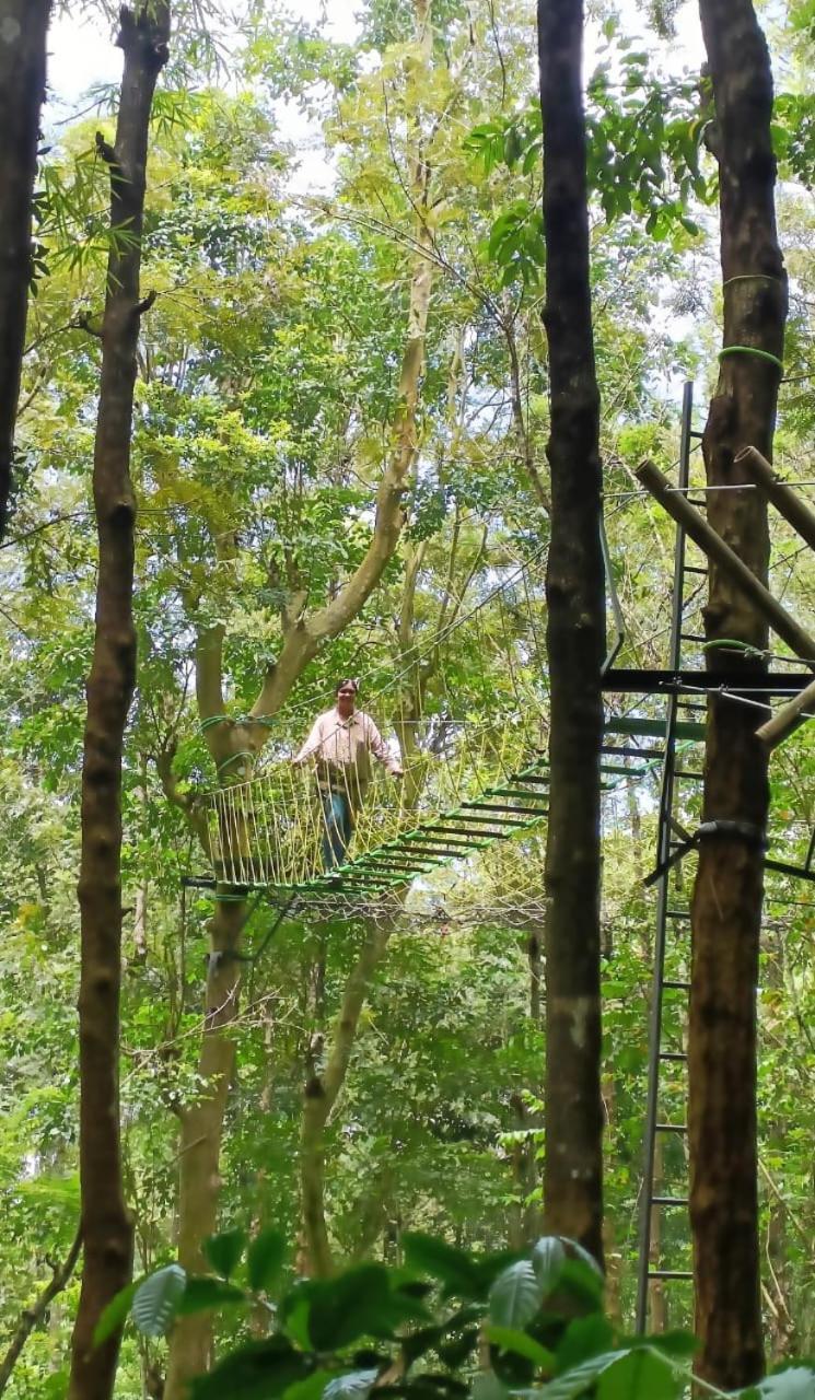 Adrak Mountain Mist Forest Resort Pulpally ภายนอก รูปภาพ